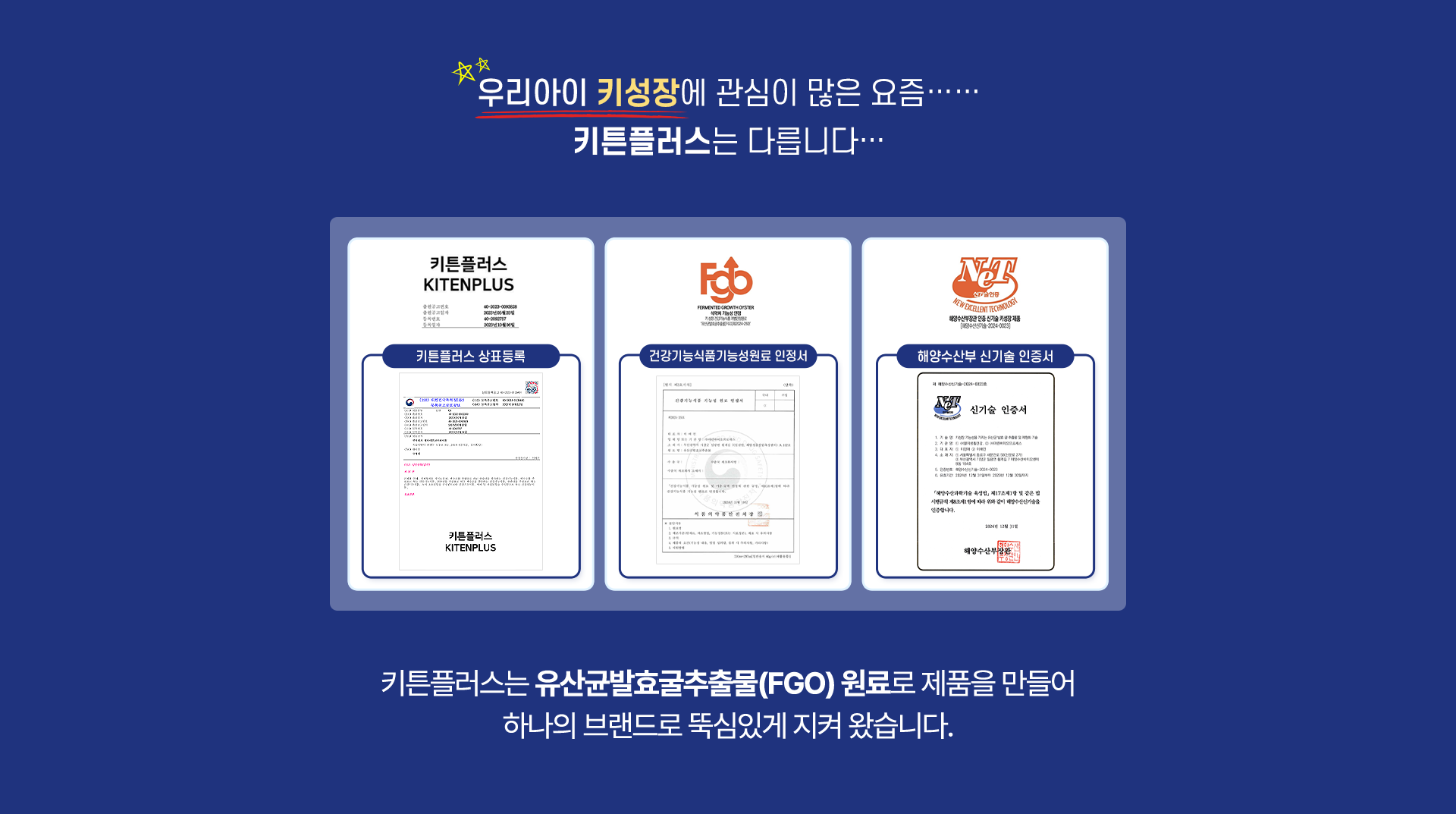 키튼플러스