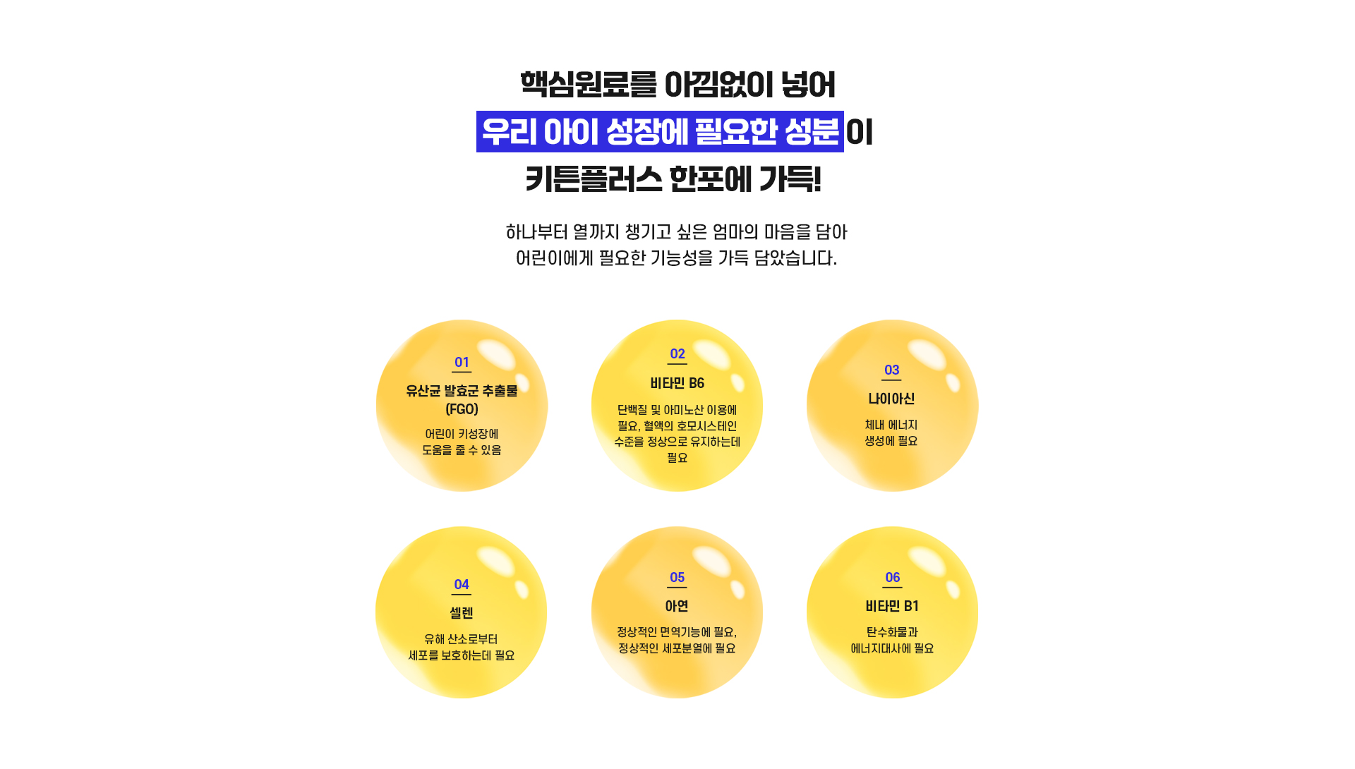 키튼플러스