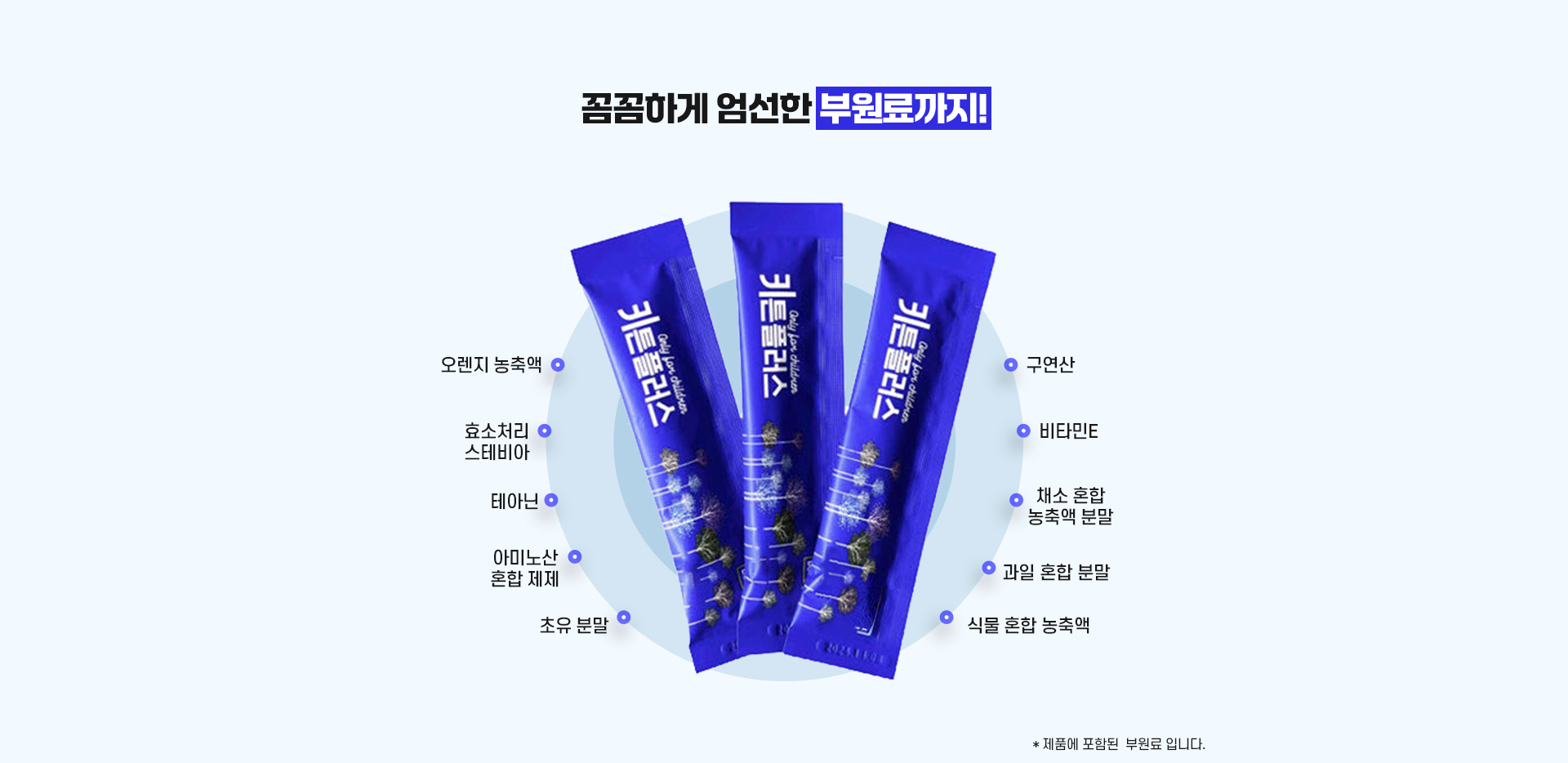 키튼플러스